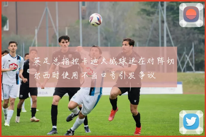 英足总指控卡迪夫城球迷在对阵切尔西时使用不当口号引发争议