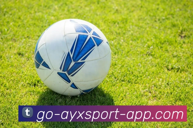 App Interface Preview