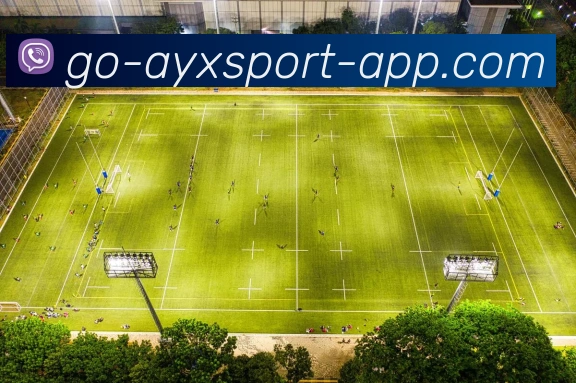 爱游戏体育APP 封面图