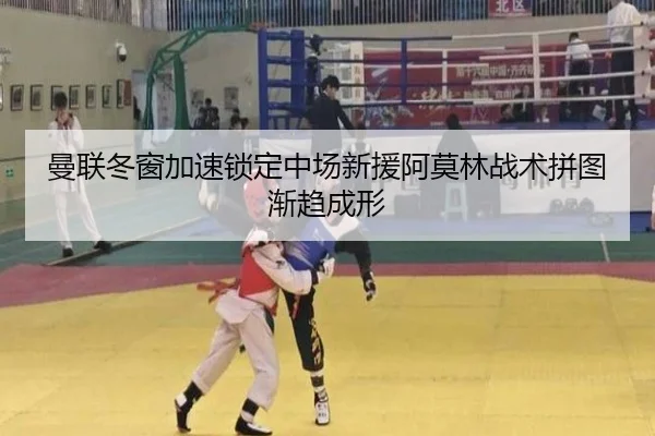 曼联冬窗加速锁定中场新援阿莫林战术拼图渐趋成形 - ayx